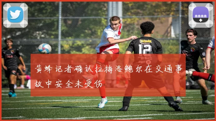 黄蜂记者确认拉梅洛鲍尔在交通事故中安全未受伤