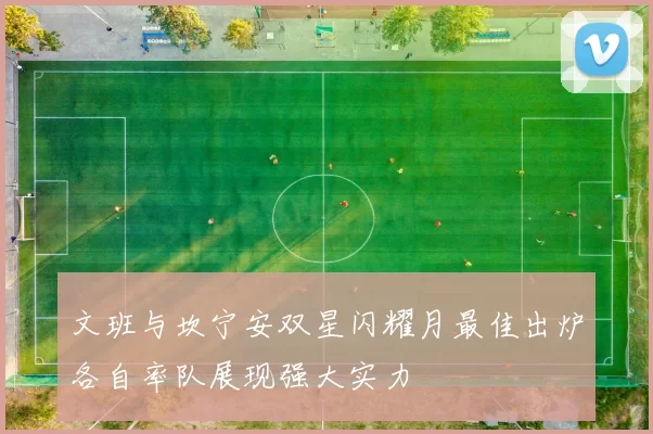 文班与坎宁安双星闪耀月最佳出炉各自率队展现强大实力