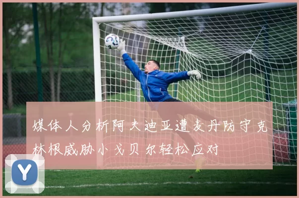 媒体人分析阿夫迪亚遭麦丹防守克林根威胁小戈贝尔轻松应对