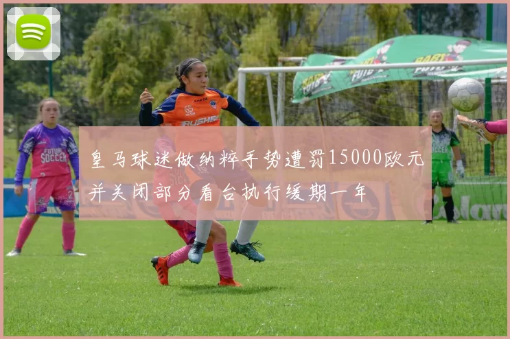 皇马球迷做纳粹手势遭罚15000欧元并关闭部分看台执行缓期一年