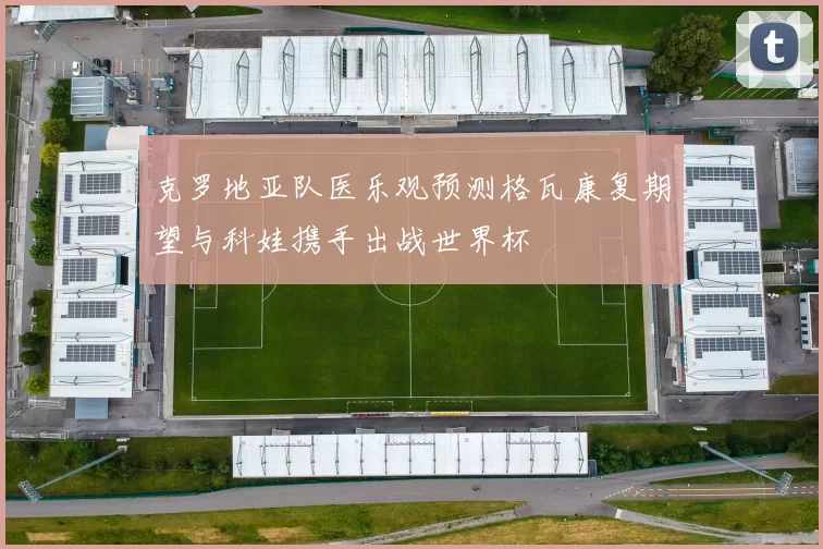 克罗地亚队医乐观预测格瓦康复期望与科娃携手出战世界杯